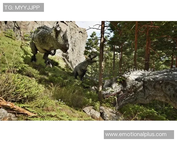 纳米比亚与毛里求斯的精彩对决探秘两国足球文化与发展之路